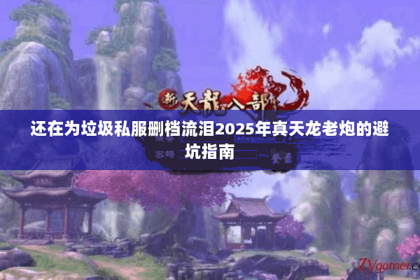 还在为垃圾私服删档流泪2025年真天龙老炮的避坑指南