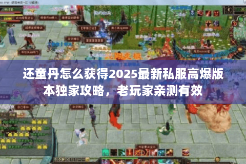还童丹怎么获得2025最新私服高爆版本独家攻略,老玩家亲测有效 还童丹怎么获得2025最新私服高爆版本独家攻略,老玩家亲测有效