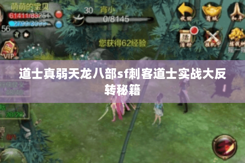 道士真弱天龙八部sf刺客道士实战大反转秘籍 道士真弱天龙八部sf刺客道士实战大反转秘籍