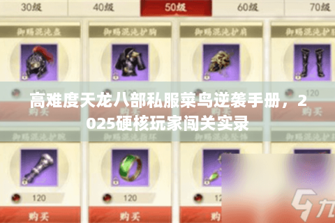 高难度天龙八部私服菜鸟逆袭手册,2025硬核玩家闯关实录 高难度天龙八部私服菜鸟逆袭手册,2025硬核玩家闯关实录