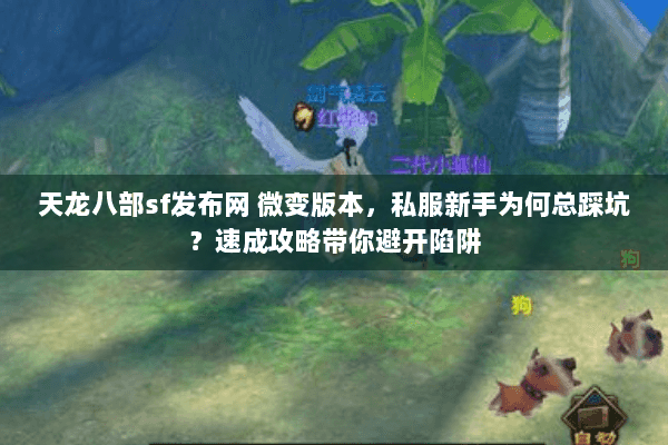 天龙八部sf发布网 微变版本,私服新手为何总踩坑?速成攻略带你避开陷阱 天龙八部sf发布网 微变版本,私服新手为何总踩坑?速成攻略带你避开陷阱