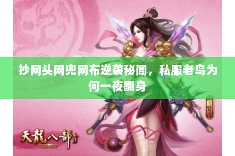 抄网头网兜网布逆袭秘闻，私服老鸟为何一夜翻身