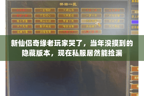 新仙侣奇缘老玩家哭了,当年没摸到的隐藏版本,现在私服居然能捡漏 新仙侣奇缘老玩家哭了,当年没摸到的隐藏版本,现在私服居然能捡漏