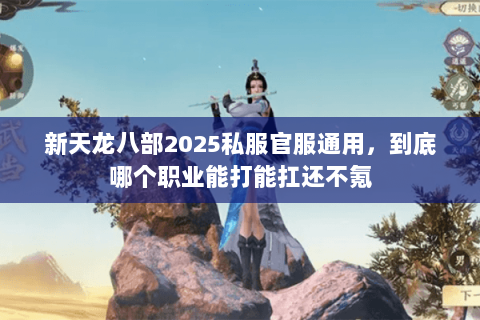 新天龙八部2025私服官服通用,到底哪个职业能打能扛还不氪 新天龙八部2025私服官服通用,到底哪个职业能打能扛还不氪