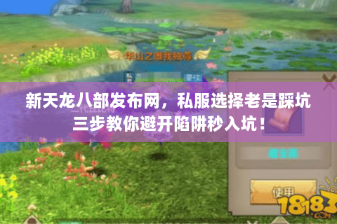新天龙八部发布网,私服选择老是踩坑三步教你避开陷阱秒入坑! 新天龙八部发布网,私服选择老是踩坑三步教你避开陷阱秒入坑!
