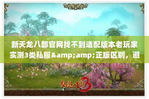 新天龙八部官网找不到适配版本老玩家实测3类私服&正版区别,避坑必看 新天龙八部官网找不到适配版本老玩家实测3类私服&正版区别,避坑必看