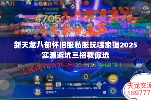 新天龙八部怀旧服私服玩哪家强2025实测避坑三招教你选 新天龙八部怀旧服私服玩哪家强2025实测避坑三招教你选