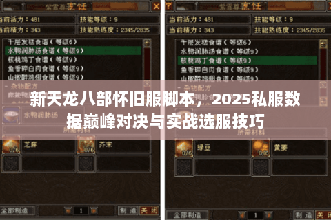 新天龙八部怀旧服脚本，2025私服数据巅峰对决与实战选服技巧