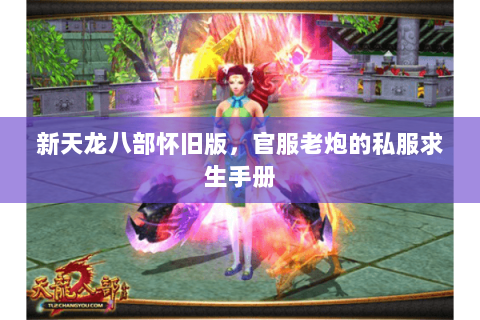 新天龙八部怀旧版,官服老炮的私服求生手册 新天龙八部怀旧版,官服老炮的私服求生手册