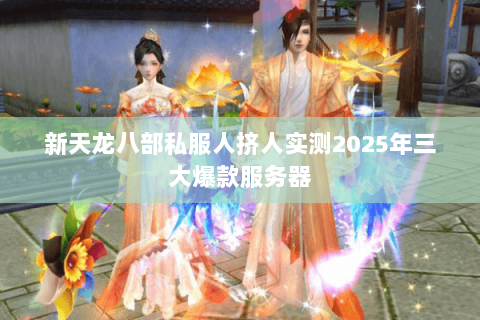 新天龙八部私服人挤人实测2025年三大爆款服务器