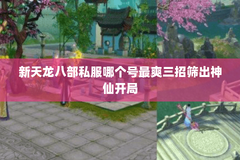 新天龙八部私服哪个号最爽三招筛出神仙开局