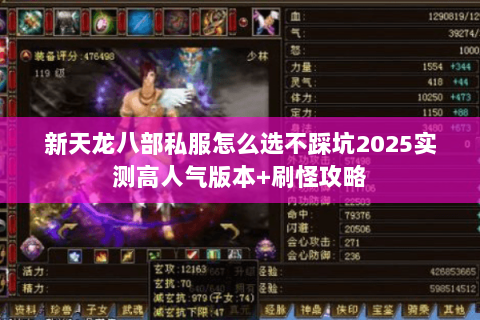 新天龙八部私服怎么选不踩坑2025实测高人气版本+刷怪攻略