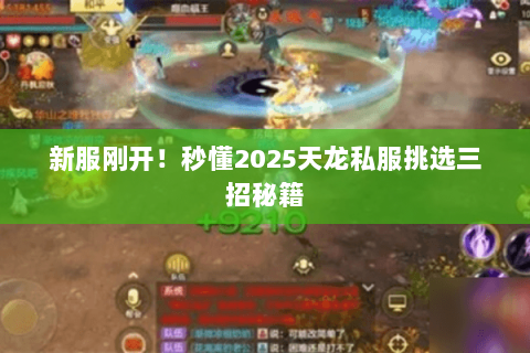 新服刚开！秒懂2025天龙私服挑选三招秘籍