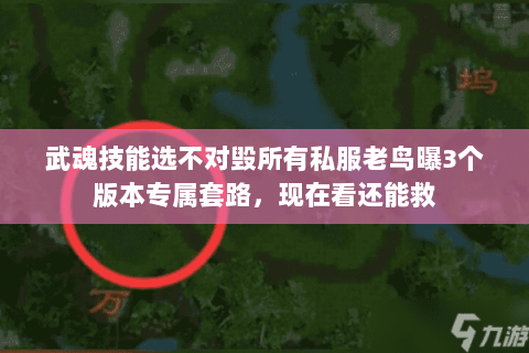 武魂技能选不对毁所有私服老鸟曝3个版本专属套路,现在看还能救 武魂技能选不对毁所有私服老鸟曝3个版本专属套路,现在看还能救