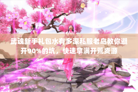 武魂新手礼包水有多深私服老鸟教你避开90%的坑，快速拿满开荒资源