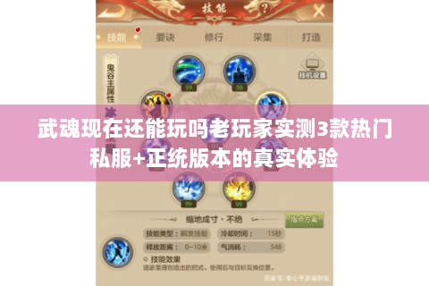 武魂现在还能玩吗老玩家实测3款热门私服+正统版本的真实体验 武魂现在还能玩吗老玩家实测3款热门私服+正统版本的真实体验