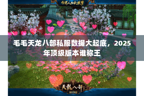 毛毛天龙八部私服数据大起底,2025年顶级版本谁称王 毛毛天龙八部私服数据大起底,2025年顶级版本谁称王