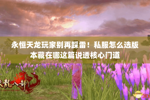 永恒天龙玩家别再踩雷!私服怎么选版本藏在哪这篇说透核心门道 永恒天龙玩家别再踩雷!私服怎么选版本藏在哪这篇说透核心门道
