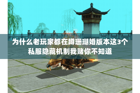 为什么老玩家都在蹲珊瑚婚版本这3个私服隐藏机制我赌你不知道 为什么老玩家都在蹲珊瑚婚版本这3个私服隐藏机制我赌你不知道