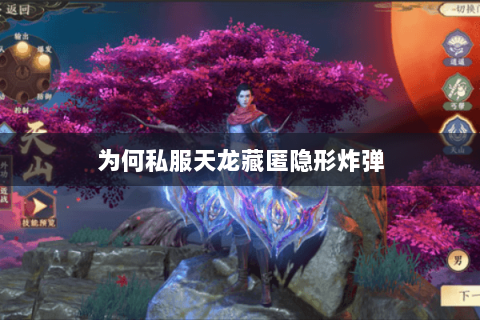 为何私服天龙藏匿隐形炸弹 为何私服天龙藏匿隐形炸弹