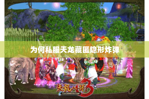 为何私服天龙藏匿隐形炸弹 为何私服天龙藏匿隐形炸弹