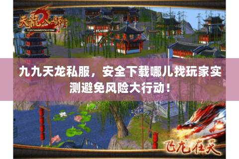 九九天龙私服，安全下载哪儿找玩家实测避免风险大行动！