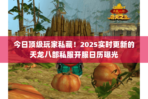 今日顶级玩家私藏!2025实时更新的天龙八部私服开服日历曝光 今日顶级玩家私藏!2025实时更新的天龙八部私服开服日历曝光
