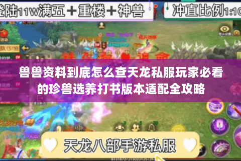 兽兽资料到底怎么查天龙私服玩家必看的珍兽选养打书版本适配全攻略 兽兽资料到底怎么查天龙私服玩家必看的珍兽选养打书版本适配全攻略