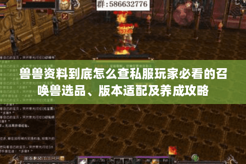 兽兽资料到底怎么查私服玩家必看的召唤兽选品、版本适配及养成攻略 兽兽资料到底怎么查私服玩家必看的召唤兽选品、版本适配及养成攻略