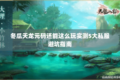 冬瓜天龙元码还能这么玩实测5大私服避坑指南 冬瓜天龙元码还能这么玩实测5大私服避坑指南