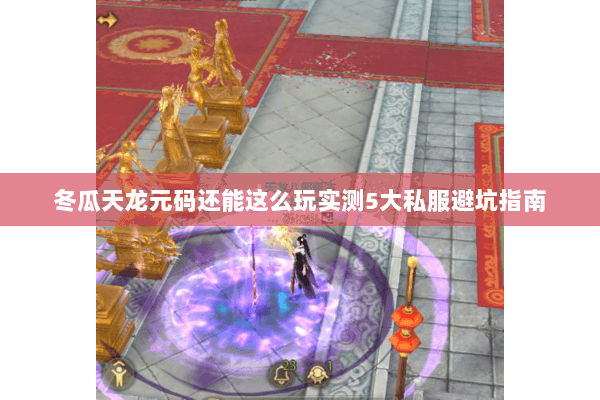 冬瓜天龙元码还能这么玩实测5大私服避坑指南 冬瓜天龙元码还能这么玩实测5大私服避坑指南