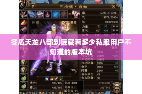 冬瓜天龙八部到底藏着多少私服用户不知道的版本坑 冬瓜天龙八部到底藏着多少私服用户不知道的版本坑