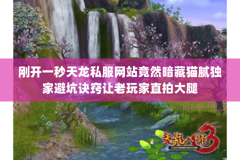 刚开一秒天龙私服网站竟然暗藏猫腻独家避坑诀窍让老玩家直拍大腿 刚开一秒天龙私服网站竟然暗藏猫腻独家避坑诀窍让老玩家直拍大腿