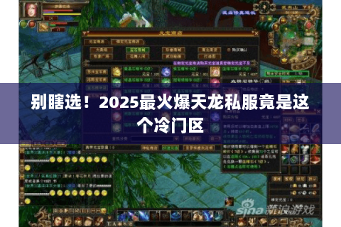 别瞎选!2025最火爆天龙私服竟是这个冷门区 别瞎选!2025最火爆天龙私服竟是这个冷门区