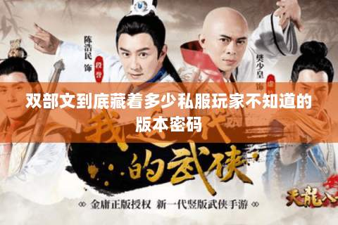 双部文到底藏着多少私服玩家不知道的版本密码 双部文到底藏着多少私服玩家不知道的版本密码
