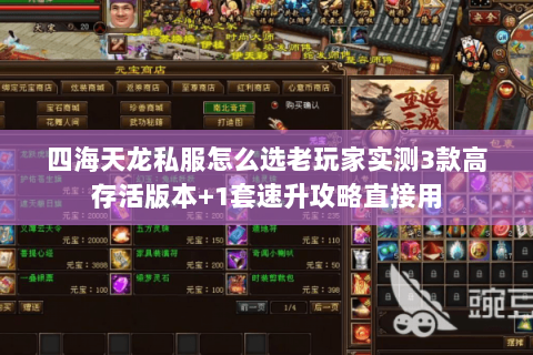 四海天龙私服怎么选老玩家实测3款高存活版本+1套速升攻略直接用 四海天龙私服怎么选老玩家实测3款高存活版本+1套速升攻略直接用