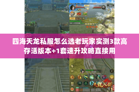 四海天龙私服怎么选老玩家实测3款高存活版本+1套速升攻略直接用 四海天龙私服怎么选老玩家实测3款高存活版本+1套速升攻略直接用