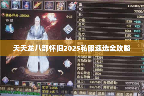 天天龙八部怀旧2025私服速选全攻略 天天龙八部怀旧2025私服速选全攻略