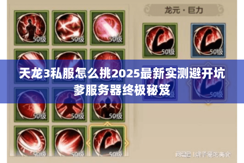 天龙3私服怎么挑2025最新实测避开坑爹服务器终极秘笈