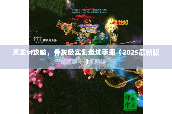 天龙sf攻略,骨灰级实测避坑手册(2025最新版) 天龙sf攻略,骨灰级实测避坑手册(2025最新版)
