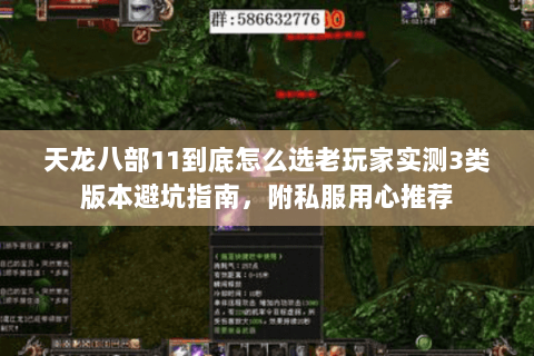 天龙八部11到底怎么选老玩家实测3类版本避坑指南,附私服用心推荐 天龙八部11到底怎么选老玩家实测3类版本避坑指南,附私服用心推荐