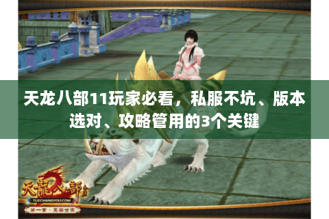 天龙八部11玩家必看,私服不坑、版本选对、攻略管用的3个关键 天龙八部11玩家必看,私服不坑、版本选对、攻略管用的3个关键