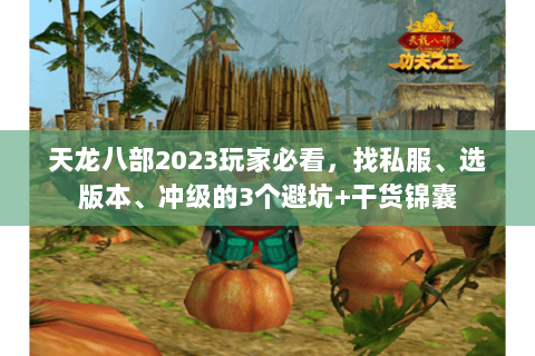 天龙八部2023玩家必看,找私服、选版本、冲级的3个避坑+干货锦囊 天龙八部2023玩家必看,找私服、选版本、冲级的3个避坑+干货锦囊