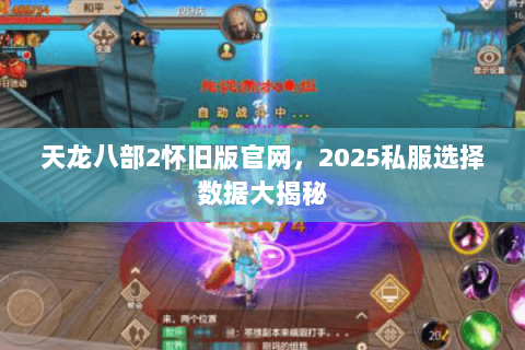 天龙八部2怀旧版官网，2025私服选择数据大揭秘