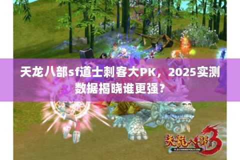 天龙八部sf道士刺客大PK,2025实测数据揭晓谁更强? 天龙八部sf道士刺客大PK,2025实测数据揭晓谁更强?