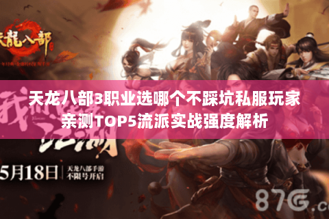 天龙八部3职业选哪个不踩坑私服玩家亲测TOP5流派实战强度解析 天龙八部3职业选哪个不踩坑私服玩家亲测TOP5流派实战强度解析