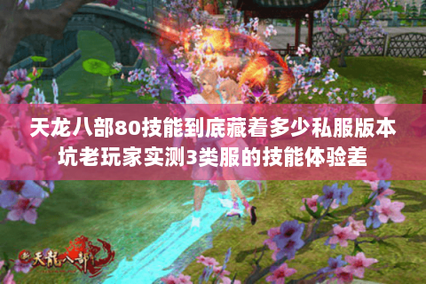 天龙八部80技能到底藏着多少私服版本坑老玩家实测3类服的技能体验差 天龙八部80技能到底藏着多少私服版本坑老玩家实测3类服的技能体验差