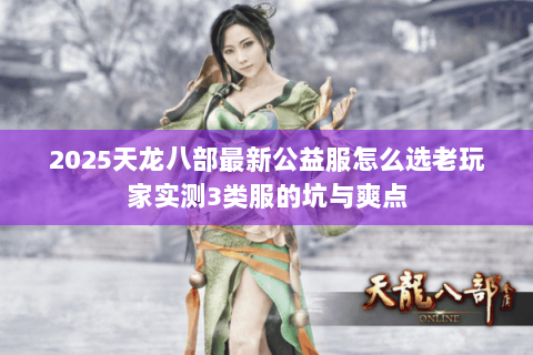 2025天龙八部最新公益服怎么选老玩家实测3类服的坑与爽点 2025天龙八部最新公益服怎么选老玩家实测3类服的坑与爽点