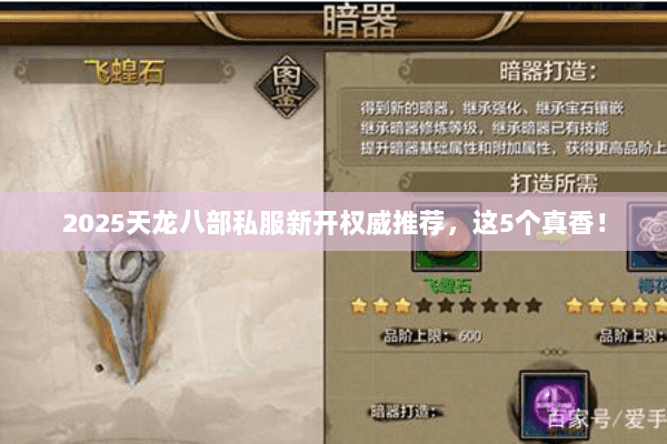 2025天龙八部私服新开权威推荐,这5个真香! 2025天龙八部私服新开权威推荐,这5个真香!