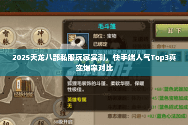 2025天龙八部私服玩家实测,快手端人气Top3真实爆率对比 2025天龙八部私服玩家实测,快手端人气Top3真实爆率对比